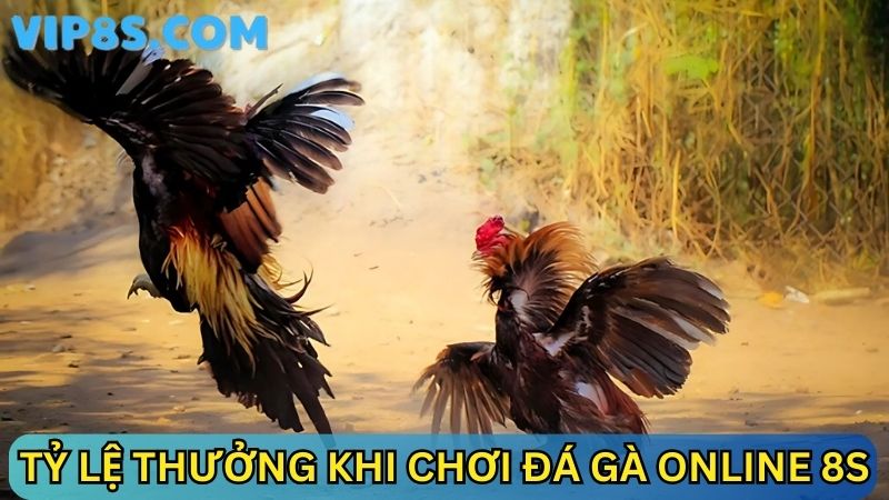 Chi tiết tỷ lệ thưởng khi chơi đá gà online 8s