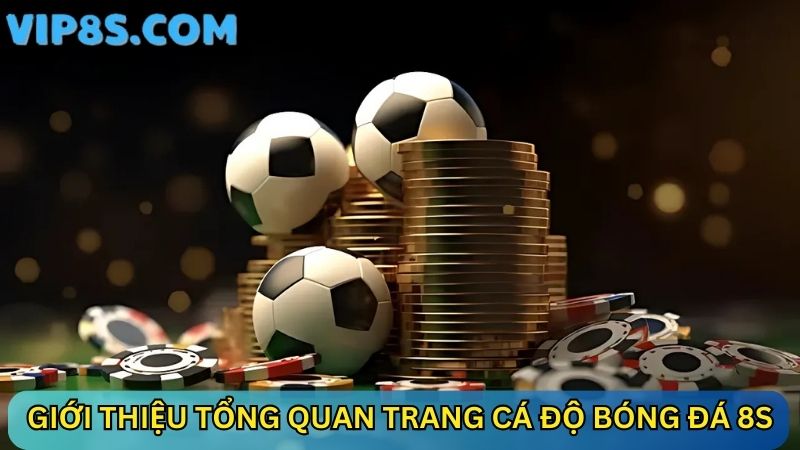 Giới thiệu tổng quan trang cá độ bóng đá 8s