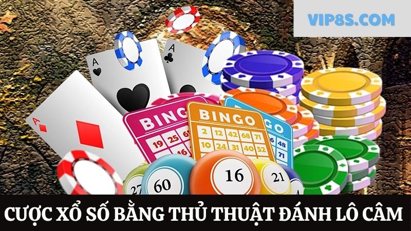 8s cá cược xổ số bằng thủ thuật lô câm