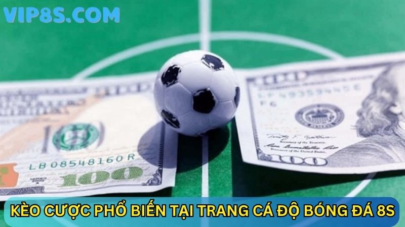 Top kèo cược phổ biến tại trang cá độ bóng đá 8s